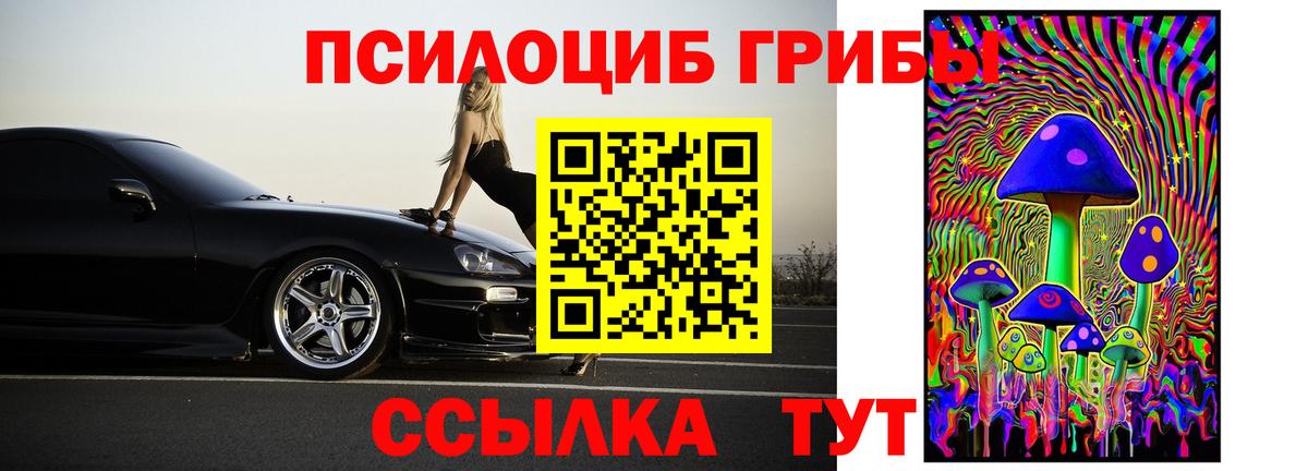 Сланцы  Галлюциногенные грибы Magic Shrooms  Вход с VPN 